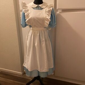 Blue and White Ruffled Dress with Apron